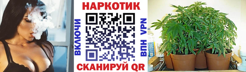 Купить наркотик аптеки Разумное APVP  Кокаин  АМФ  Каннабис  Псилоцибиновые грибы  Гашиш 