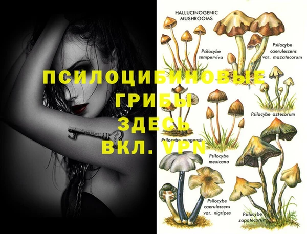 кокаин премиум Корсаков