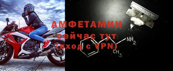 молекула духа Краснослободск