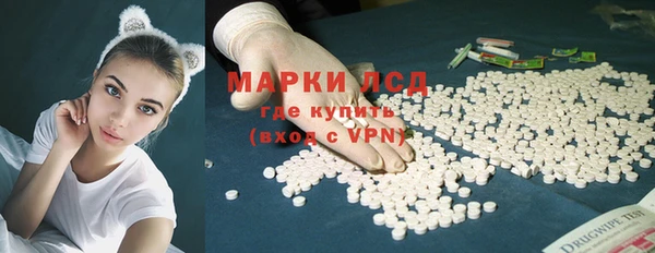 мяу мяу мука Коряжма